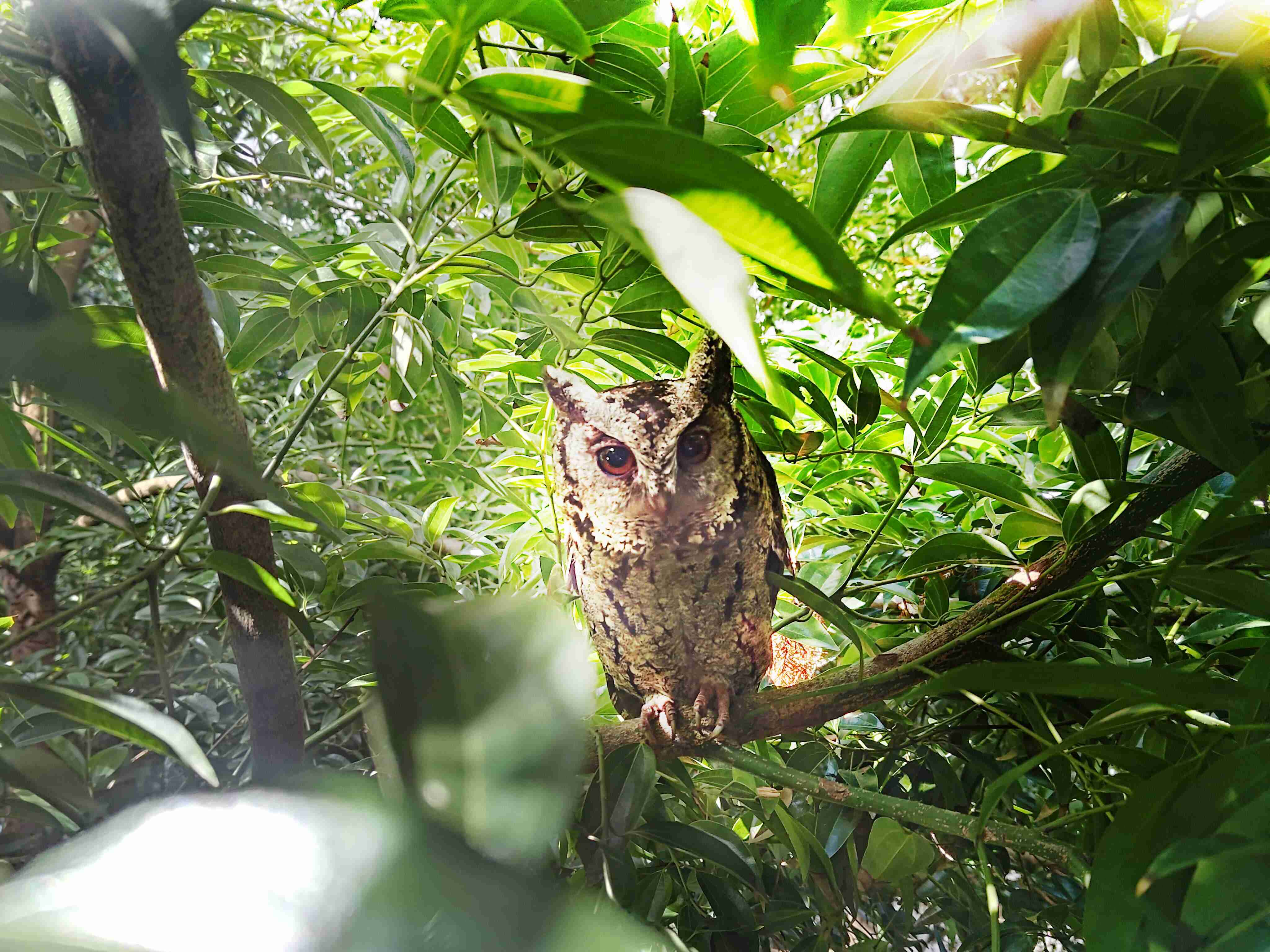z6mg·人生就是博致力提倡净零绿生活，，，16年以来在全球各厂区植树逾百万棵，，，造就各厂区树木蔚然成林，，犹如森林工厂，，成为许多生物的栖息地